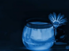 QQ截图20180502100403.png